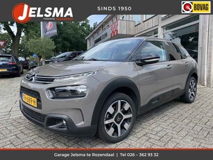 Citroën C4 Cactus 110pk PT Shine,