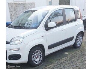 Fiat Panda TwinAir Turbo 80 Edizione Cool Dualogic