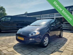 Fiat Punto 1.2 (4 Cilinder) 5 Deurs, Airco, Lichtmetaal