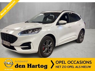 Ford Kuga 2.5 PHEV ST-Line X B&O/Electr stoelen met