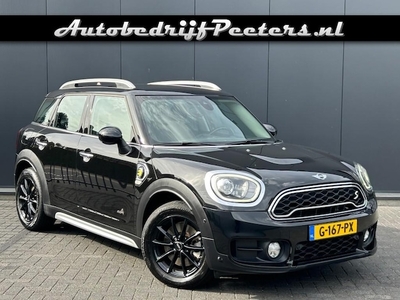 Mini Countryman Benzine