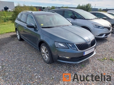 Auto Skoda Octavia estate 1.6 TDI (2019-183.500 km)