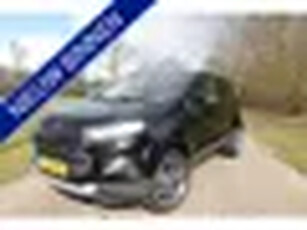 Ford EcoSport 1.0 EcoBoost Titanium S Stoelverwarming Leer Achteruitrijcamera Keyless