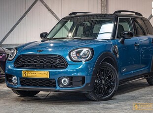 Mini Countryman 2.0 Cooper S E ALL4 Chili|Cam|Stoelv|NW APK