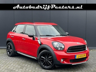 Mini Countryman Benzine