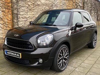 Mini Countryman Benzine