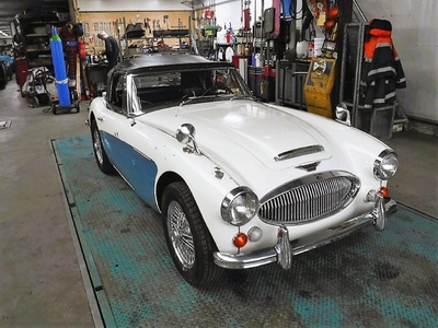 Austin Healey 3000 MK3 BJ8 1965