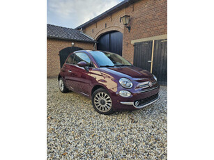 Fiat 500 1.2 Lounge | Cherryred ???? | 2e eig | Panorama