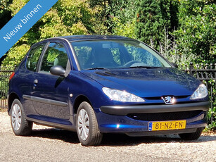 Peugeot 206 1.1 XR apk 08-2025