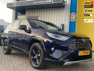 Toyota RAV4 2.5 Hybrid AWD Bi-Tone 1650 trekgewicht