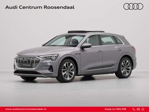 Audi e-tron e-tron 55 quattro advanced 95 kWh Panorama