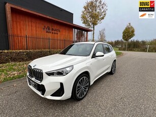 BMW X1 XDrive30e M-sport, HUD, camera