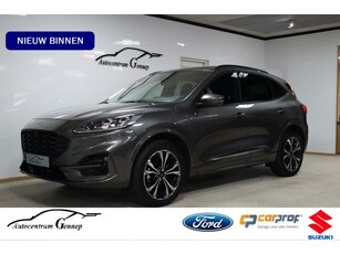 Ford Kuga 2.5 PHEV ST-Line X 19'' velgen Winter pack