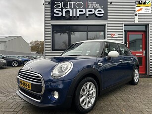 Mini Mini 1.5 Cooper Chili Business -AUTOMAAT-5DRS.-1STE