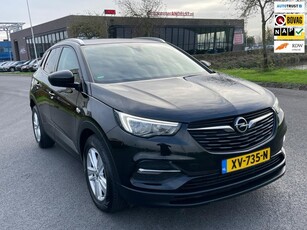 Opel Grandland X 1.2 Turbo Business +, 1e eig, Geen import