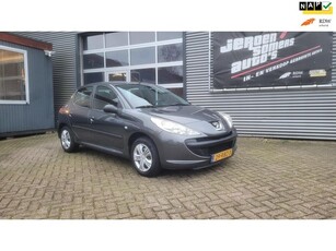 Peugeot 206 + 1.1 Accent