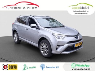 Toyota RAV4 2.5 Hybrid AWD Energy Plus Bearlock PDC V+A