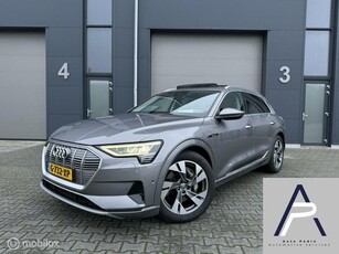 Audi e-tron e-tron 50 quattro 71 kWh Trekhaak Pano incl BTW