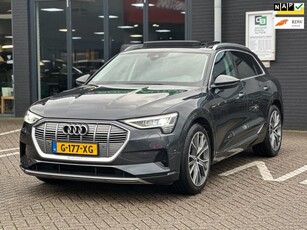 Audi E-tron E-tron 50 quattro Launch edition plus 71