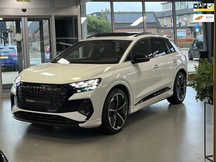 Audi Q4 e-tron Competition, Ruitjesleer, Panodak, ACC