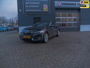 BMW 2-serie Cabrio 218i Cabrio High Executive met Trekhaak