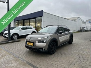 Citroen C4 Cactus 1.2 PureTech Business Plus Panorama Navi