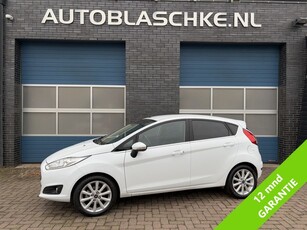 Ford Fiesta 1.0 EcoBoost Titanium, navi, climate/cruise, lmv