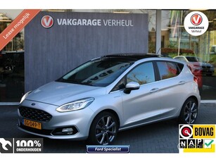 Ford Fiesta 1.0 EcoBoost Vignale125Pk5DrsNaviNapBoekjes