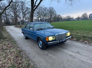 Mercedes-Benz 200-280 (W123) 250 6 cilinder / LPG / 1976