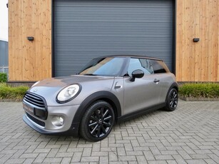 Mini 1.5 Cooper Business *Vol leder *Navi *Cruise * 17 inch