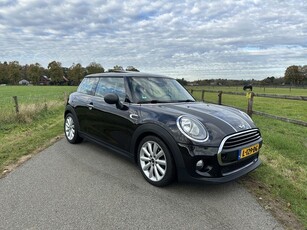 MINI Mini 1.2 One Chili 'Hot Chocolate' '14 Pano Navi Leder