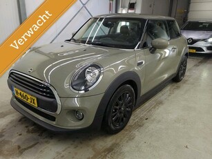 Mini Mini 1.5 One First Pepper Climate control LM