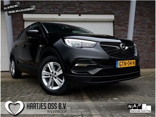 Opel Grandland X 1.2 Turbo Business Executive (Vol-Opties!)