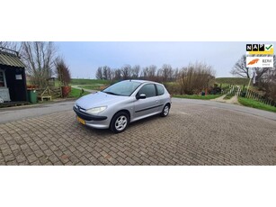 Peugeot 206 1.4 X-line NW APK