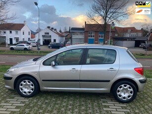 Peugeot 307 1.6-16V XT Facelift uit 2006 203.719 KM -