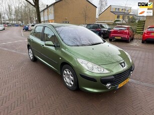 Peugeot 307 AUTOMAAT / Eerste eigenaar / 79.000 NAP / 5