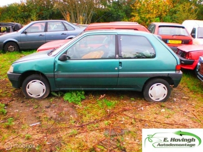 Peugeot 106 1.1 Accent schuurvondst rondom gebruikersporen