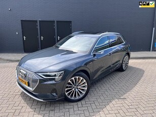 Audi E-tron E-tron 55 quattro advanced Panoramadak Leer 360