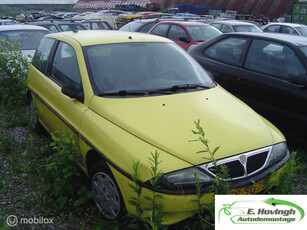 Lancia Ypsilon 1.2 LS