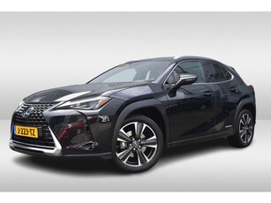 Lexus UX 250h Business Line (bj 2020, automaat)