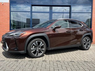 Lexus UX 250h Executive Line met afneembare trekhaak!