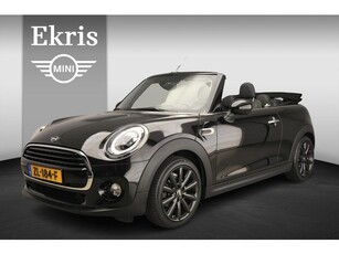 MINI Cabrio Cooper Business Plus Leder Camera