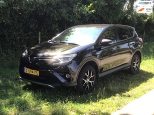 Toyota RAV4 2.5 Hybrid Executive automaat, 36-camera, in