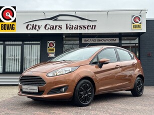 Ford Fiesta 1.25 Trend 82 pk airco elktr pakket 1e eigenaar