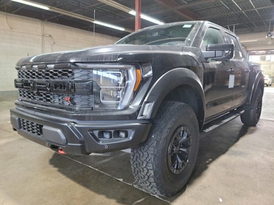 Ford F-150 Benzine