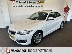 BMW 2 Serie Coupé 218i High Executive Automaat | Panoramadak | Cruise control | Climate control | Lederen bekleding | Adaptieve demping | Ne