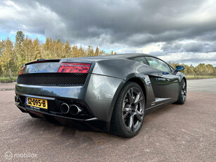 Lamborghini Gallardo 5.2 V10 LP560-4 e-gear GRIGIO LYNX FACE