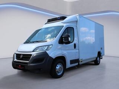 Fiat DUCATO 35H 2.3 MultiJet L4H1 (Koelwagen, Lage Instap, Carrier Installatie, Apple Carplay, 3 Persoons, Airco, Elektr.Ramen, Radio-CD (MET GARANTIE*)