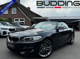 BMW 2 Serie Cabrio 220i M Sport | Leder | Keyless | Orig NL