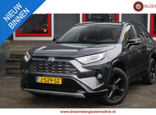 Toyota RAV4 2.5 Hybrid Bi-Tone innovation Pack